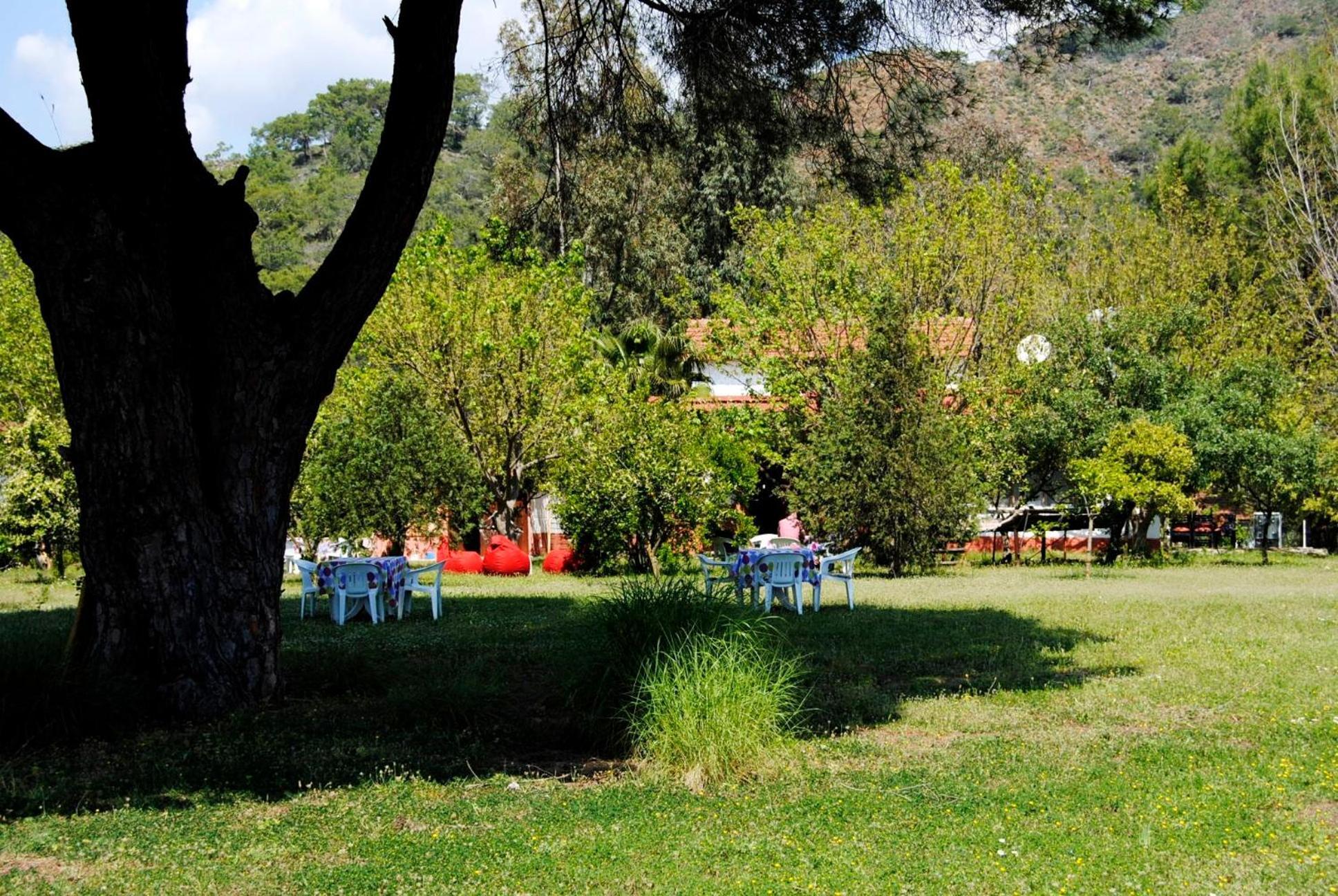 Hotel Billur Pension à Çıralı Extérieur photo