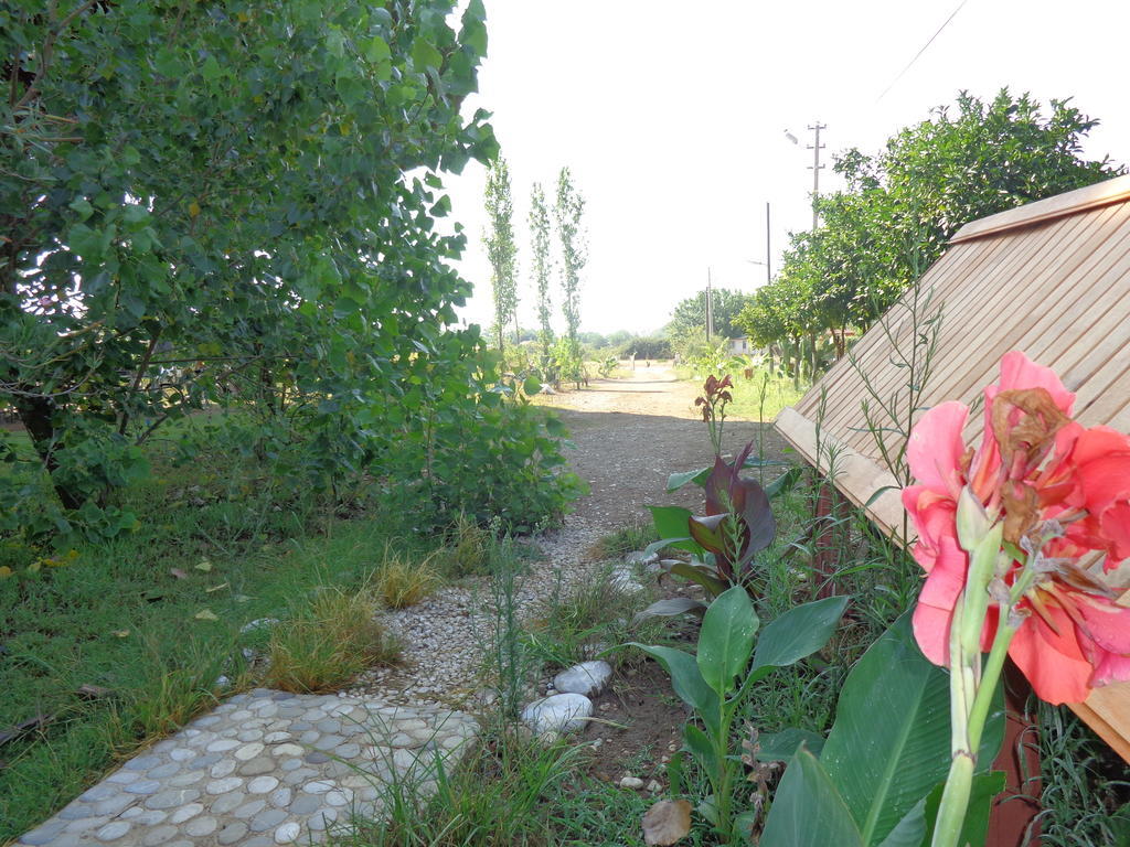 Hotel Billur Pension à Çıralı Extérieur photo