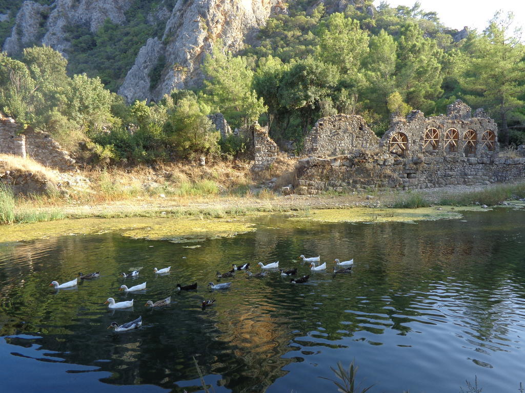 Hotel Billur Pension à Çıralı Extérieur photo