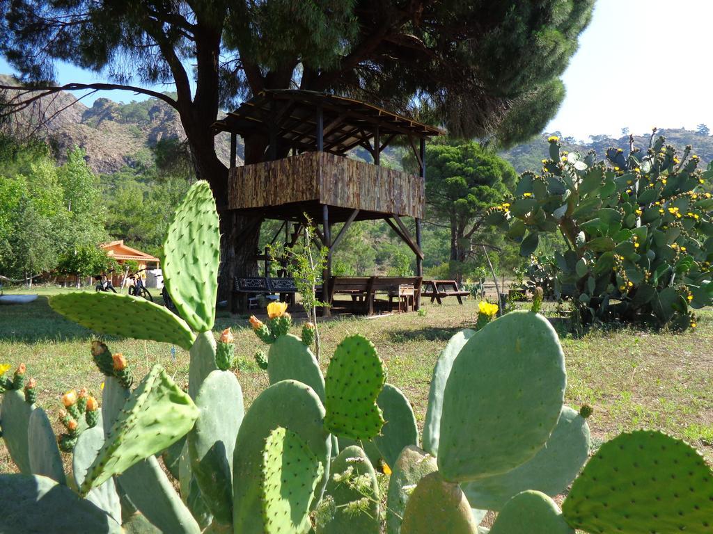 Hotel Billur Pension à Çıralı Extérieur photo